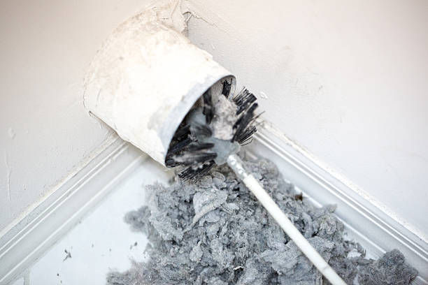 Ductwork Cleaning Services in South Gate Ridge, FL